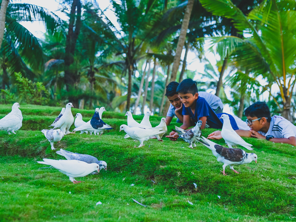 Best Resorts in Kerala